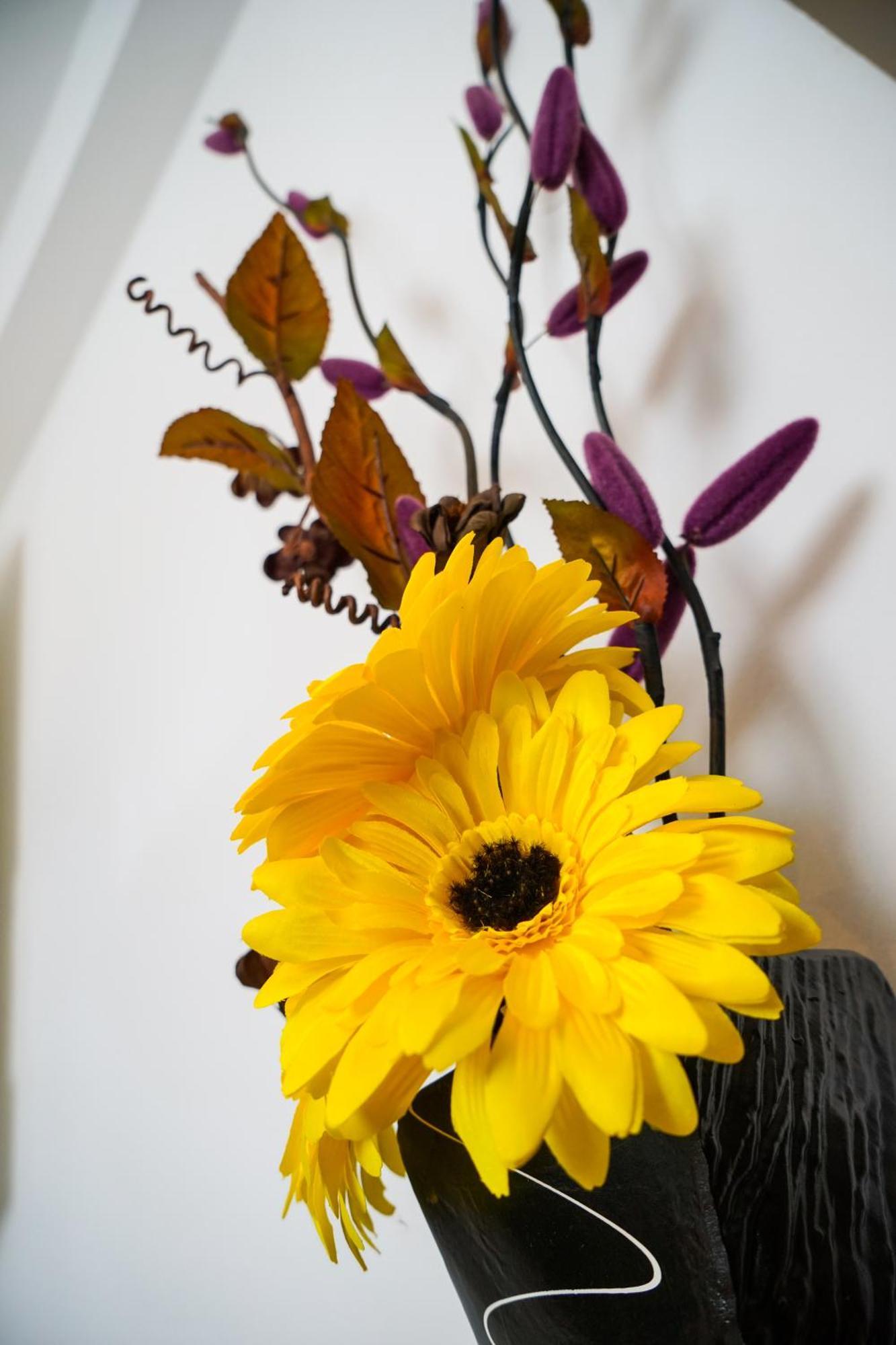 Floral Apartment Zadar Dış mekan fotoğraf